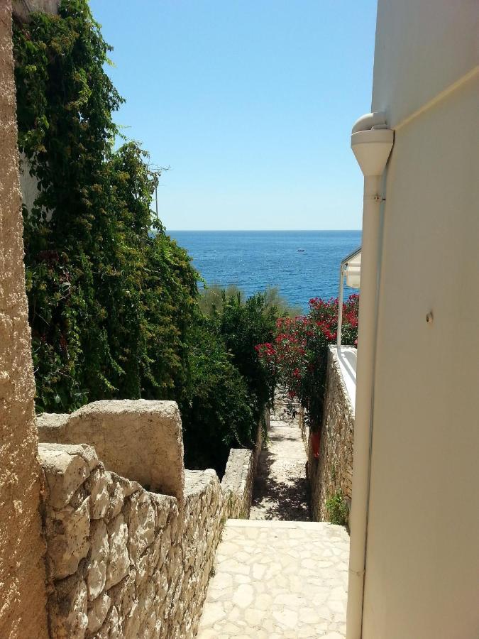 Willa Perla Sul Mare Adriatico Marittima Zewnętrze zdjęcie